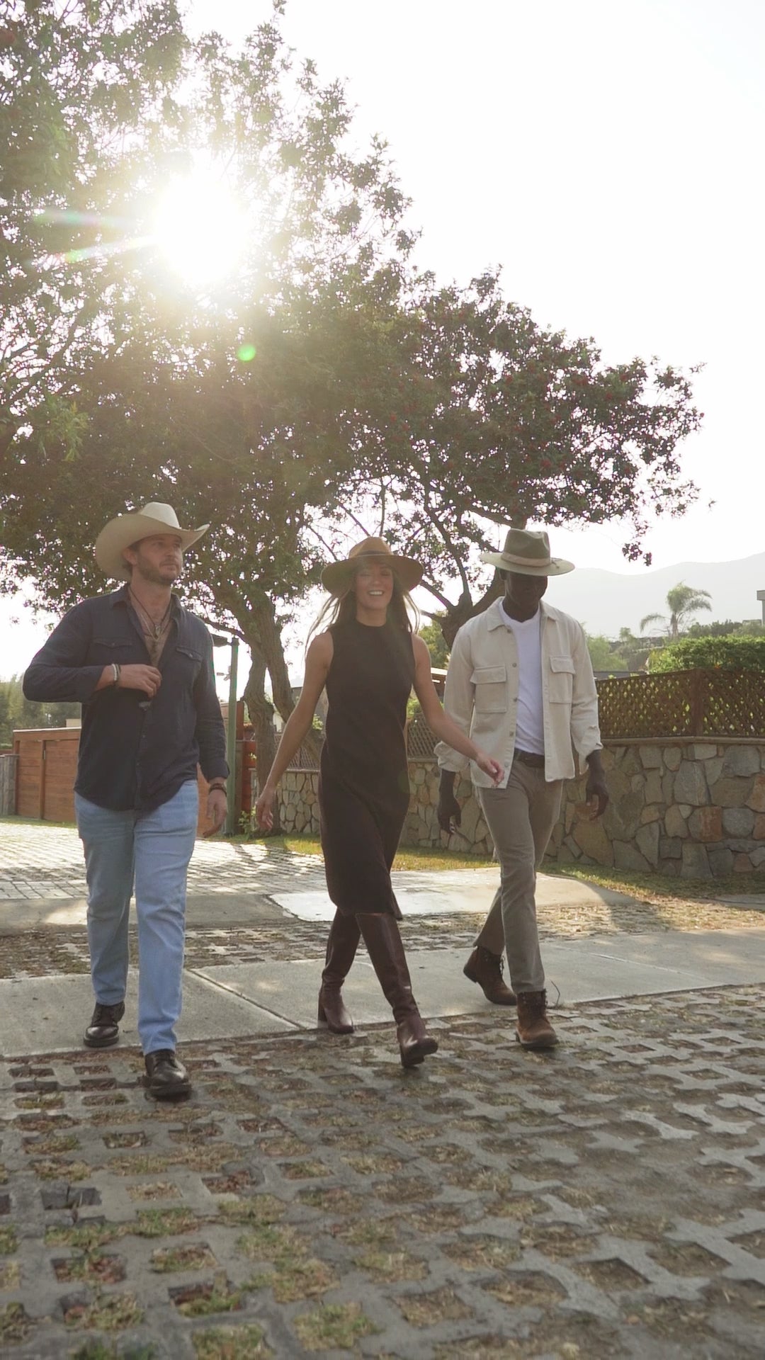 Cargar video: 